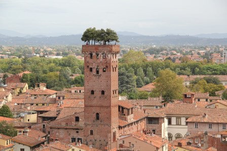 Σχολές Καπάτου Ο πύργος Guinigi της πόλης Lucca